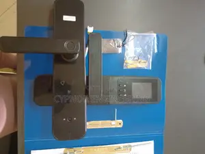 High Quality Smart Assuared Biometric Locks Access