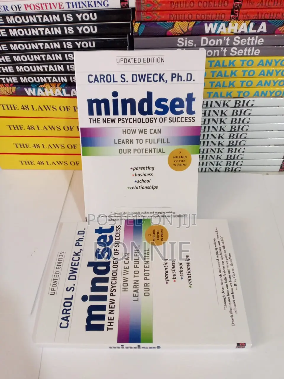 Mindset Book by Carol Dweck