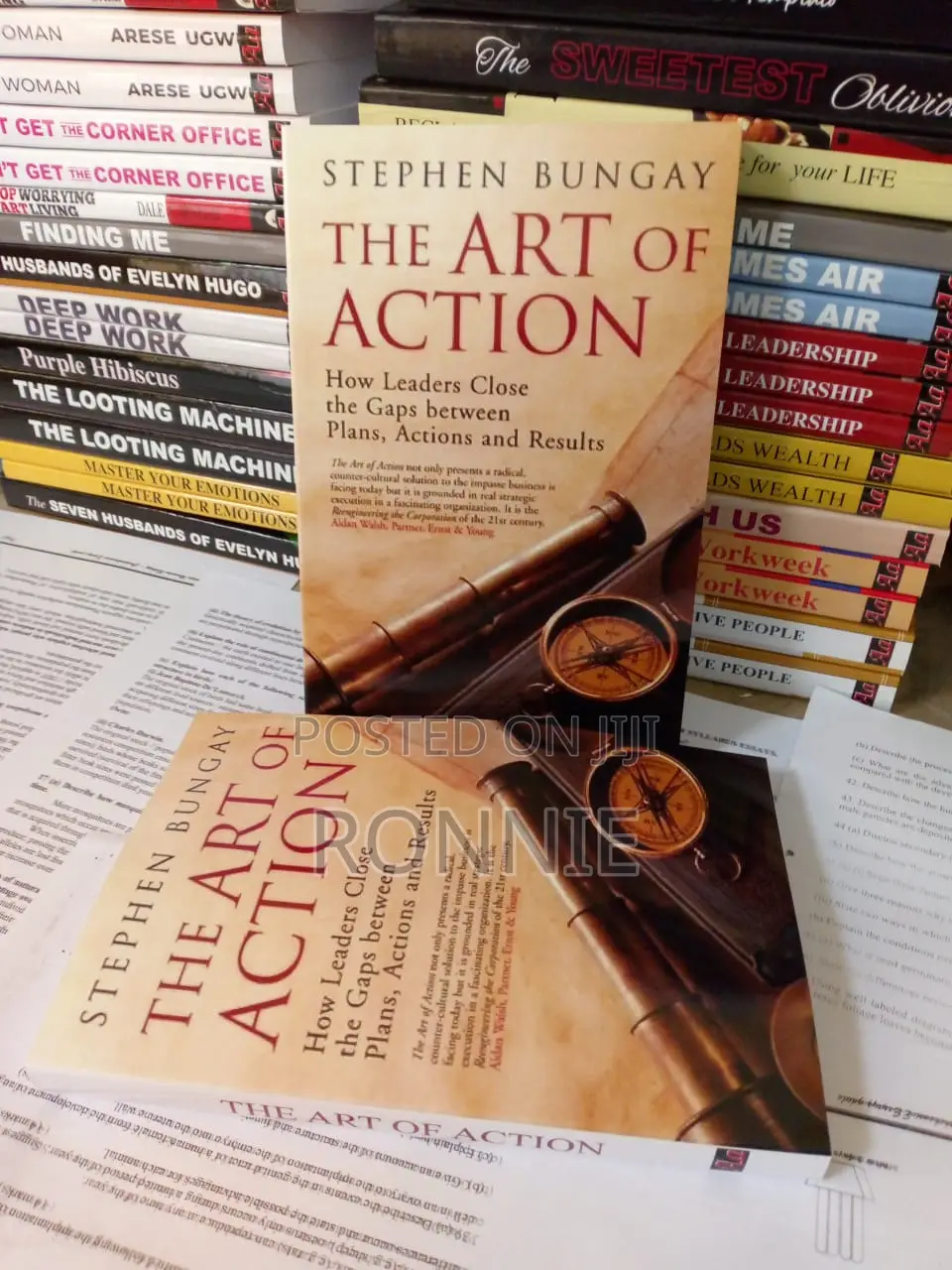 The Art of Action Book by Stephen Bungay