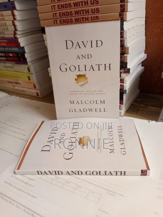 David and Goliath Book by Michelangelo