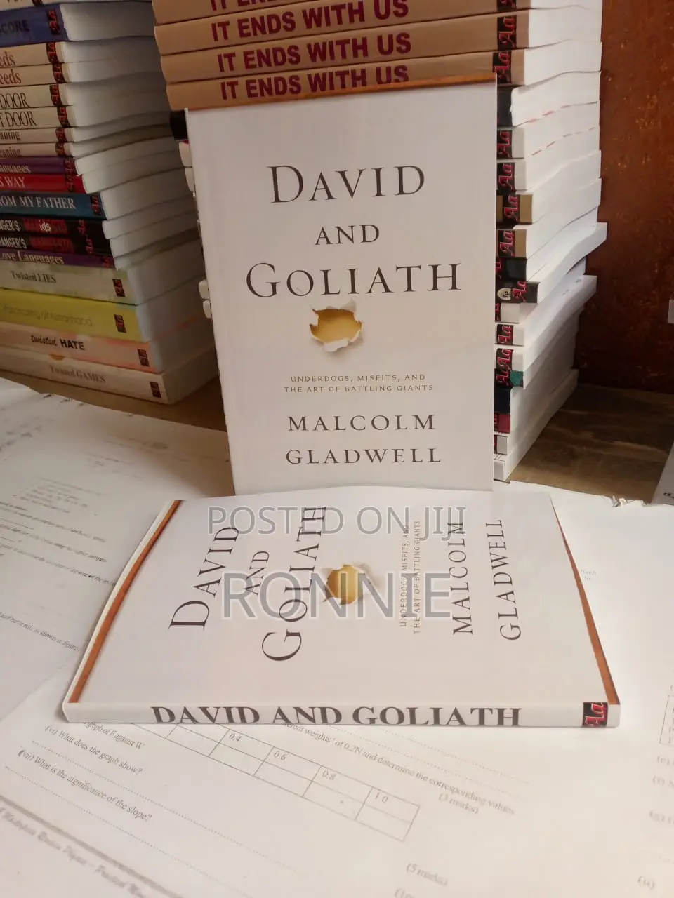 David and Goliath Book by Michelangelo