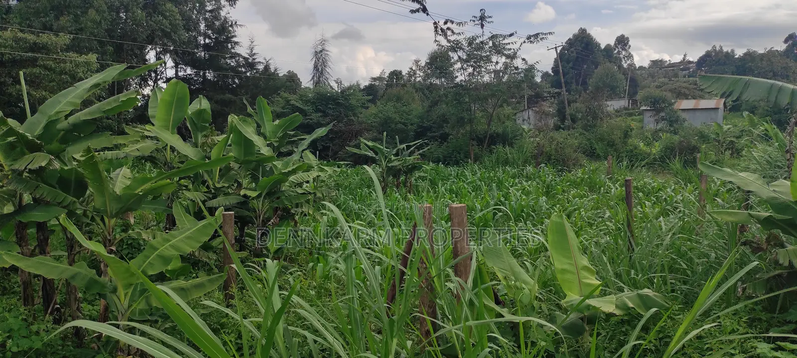 Prime Residential Plot In Kamangu, Kikuyu Area