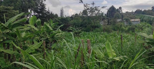 Prime Residential Plot In Kamangu, Kikuyu Area - thumbnail 11