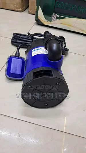 Dayliff DDW 1000V Submersible Pump