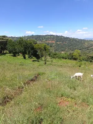 2 Acres Mua Hills Kitanga 200m.From Tarmac at 6m Per Acre