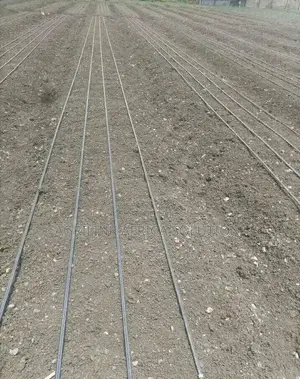Drip Irrigation System