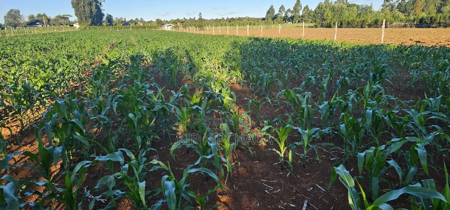 3.8 Acres for Sale in Moiben Garage