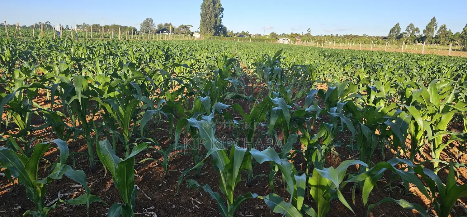 3.8 Acres for Sale in Moiben Garage