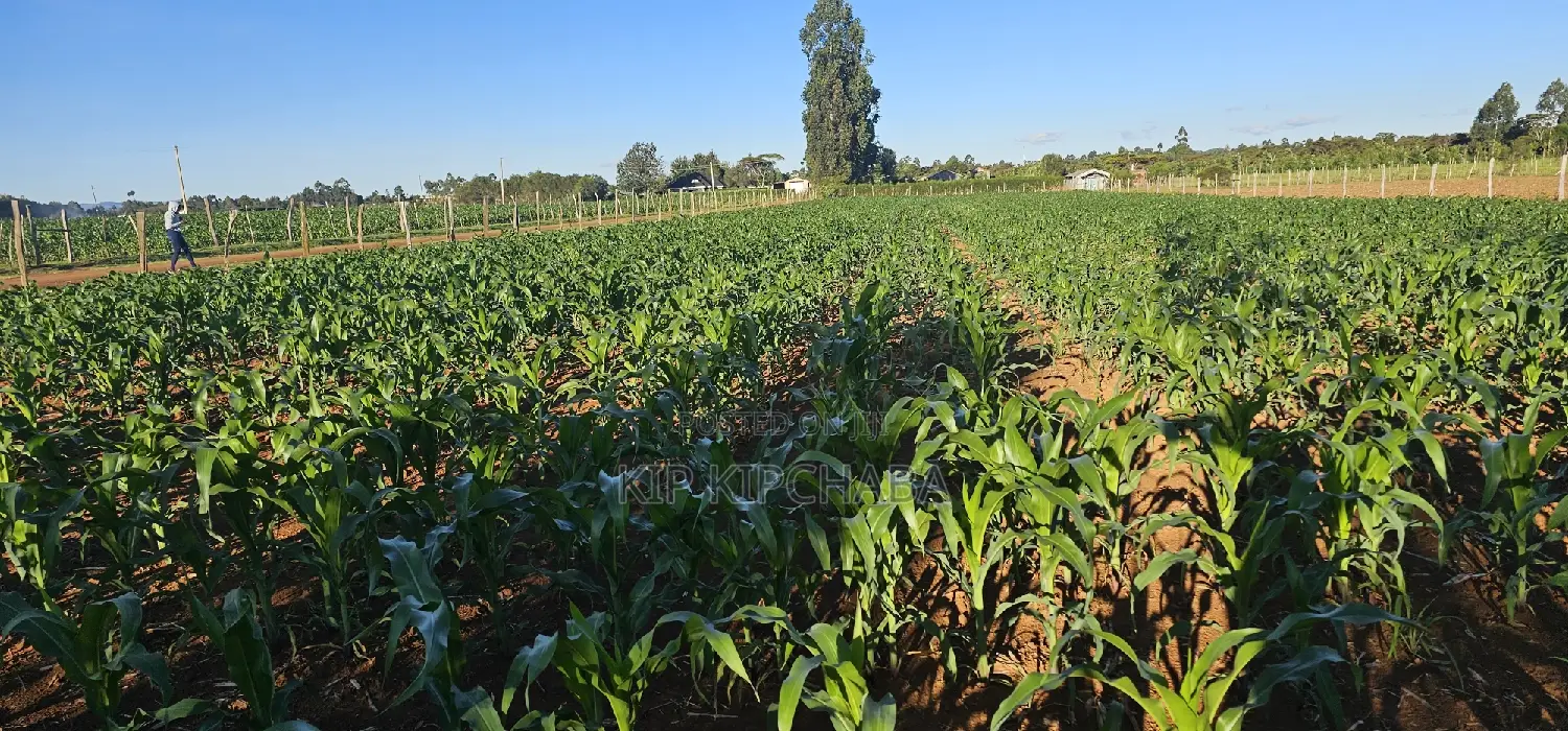 3.8 Acres for Sale in Moiben Garage