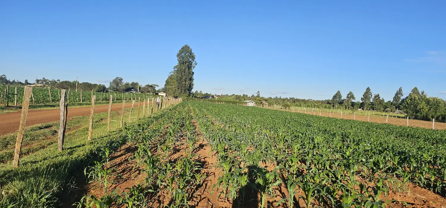 3.8 Acres for Sale in Moiben Garage
