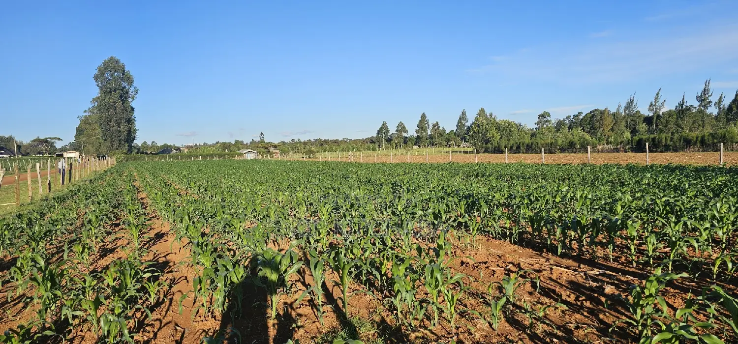 3.8 Acres for Sale in Moiben Garage