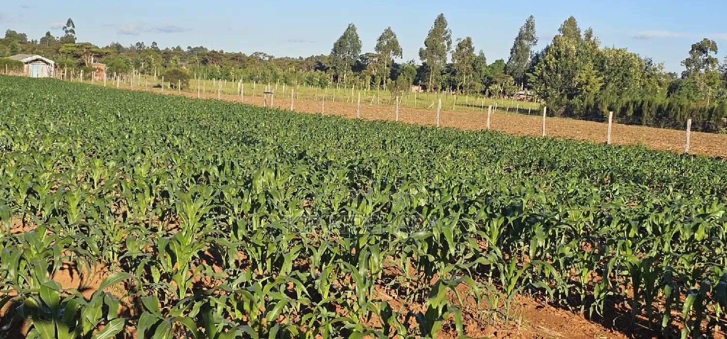 3.8 Acres for Sale in Moiben Garage