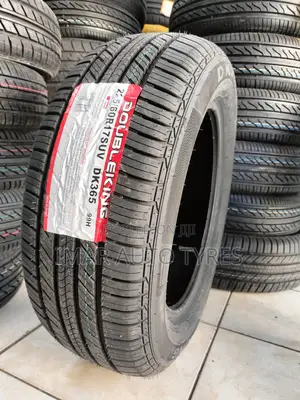 225/60r17 Doubleking