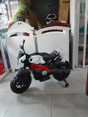 The Children's Bicycle/Electric Bike