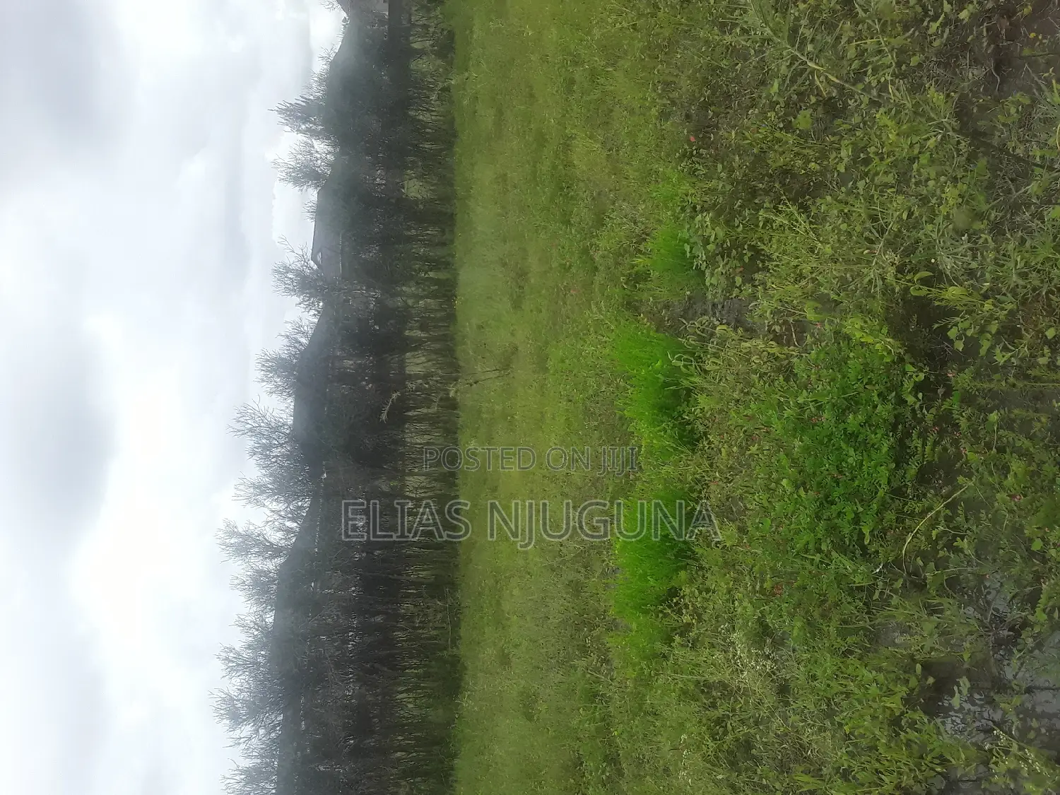 Kamakis 5plots for Sale.