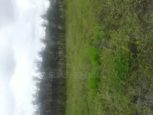 Kamakis 5plots for Sale.