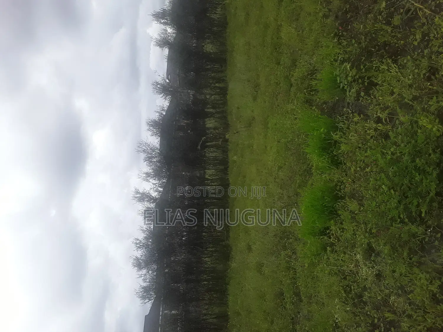 Kamakis 5plots for Sale.
