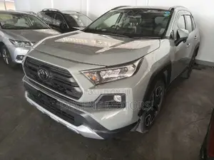 Toyota RAV4 Adventure 2019 Gray