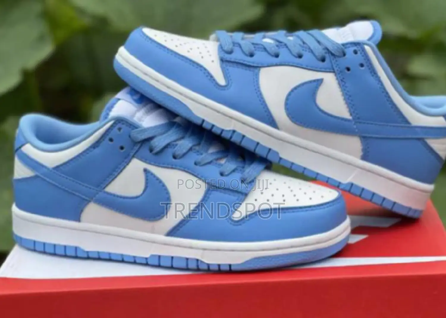 Jordan 1 Low-Cut