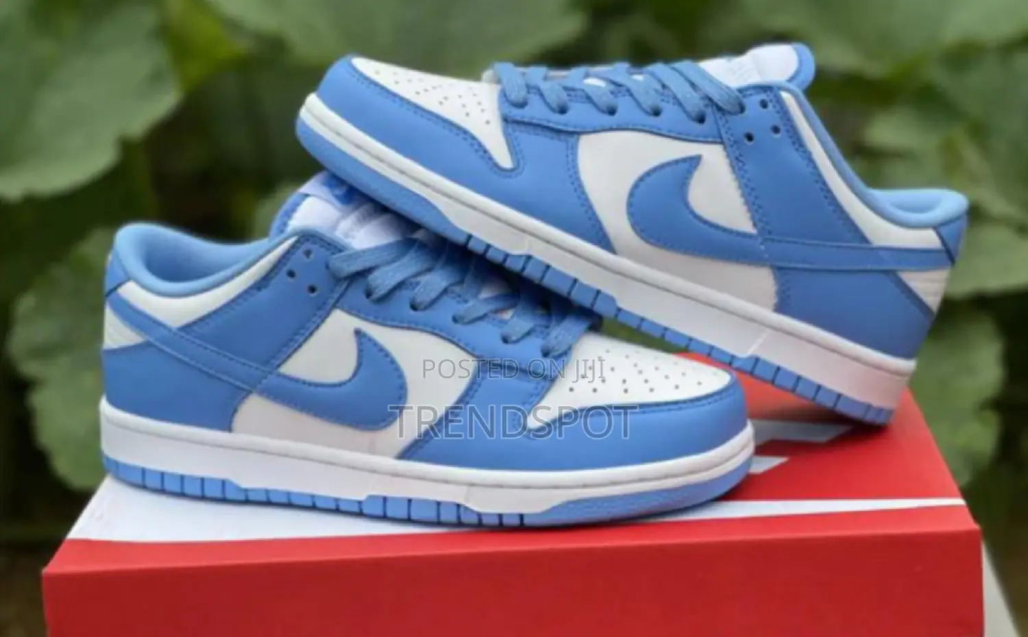 Jordan 1 Low-Cut