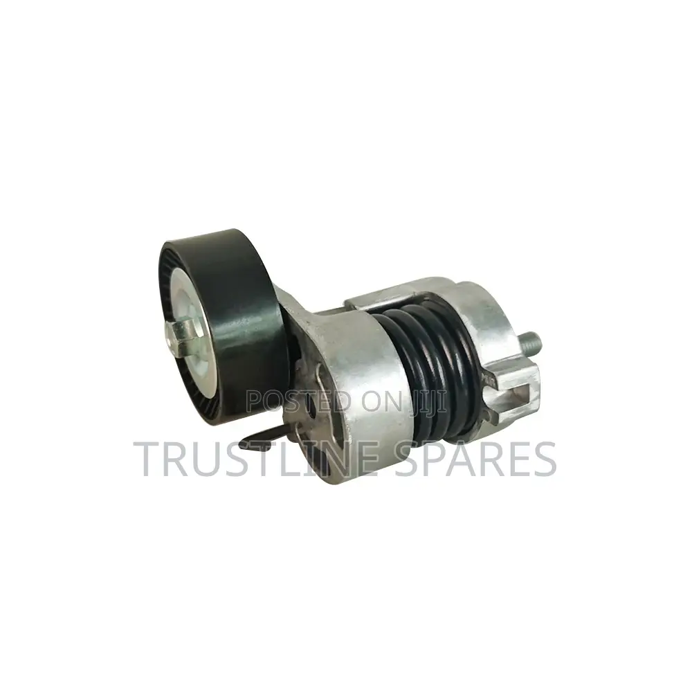 BMW Belt Tensioner Pulley Assembly