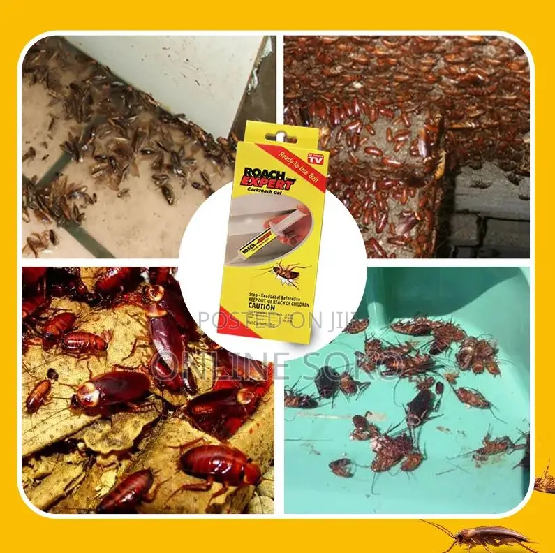 Powerful Roach Expert Cockroach Gel Bait Killer- 5g