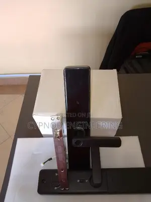 Smart Connectivity Biometric Locks for Hotel Room Management