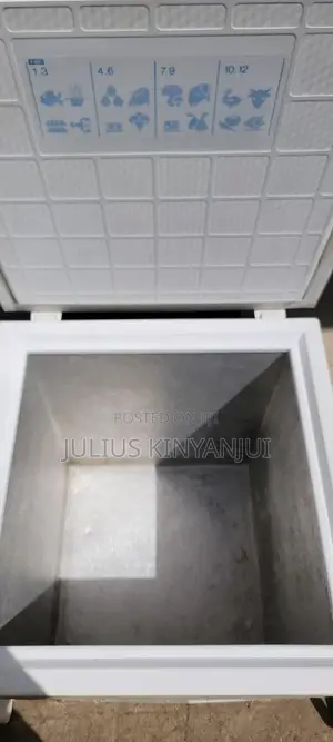 100L Deep Freezer