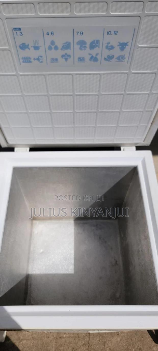 100L Deep Freezer - main view