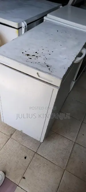 189L Deep Freezer