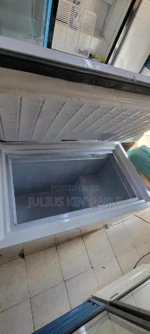 Deep Freezer 300L Westpoint