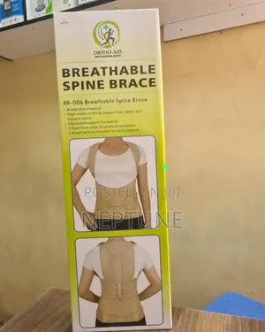 Spine Brace