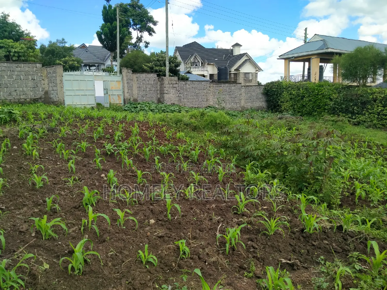 Quarter Acre Plot in Ongata Rongai Nkoroi Has Perimeter Wall