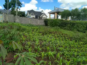 Quarter Acre Plot in Ongata Rongai Nkoroi Has Perimeter Wall