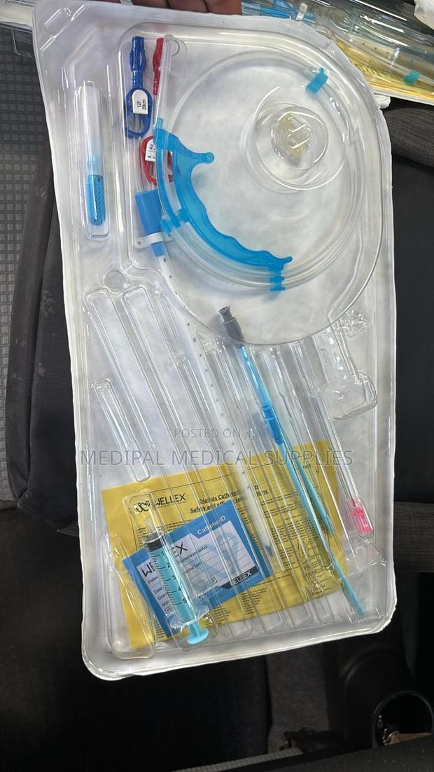 Permanent Dialysis Catheter - main view
