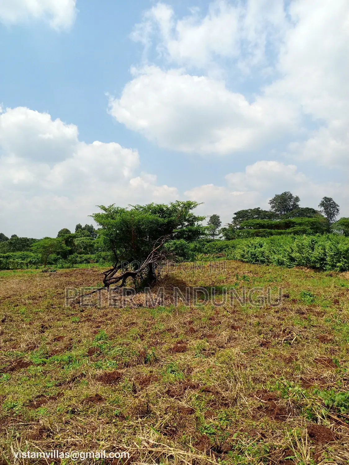 Migaa Golf Estate 1/4 Acre on Quick Sale