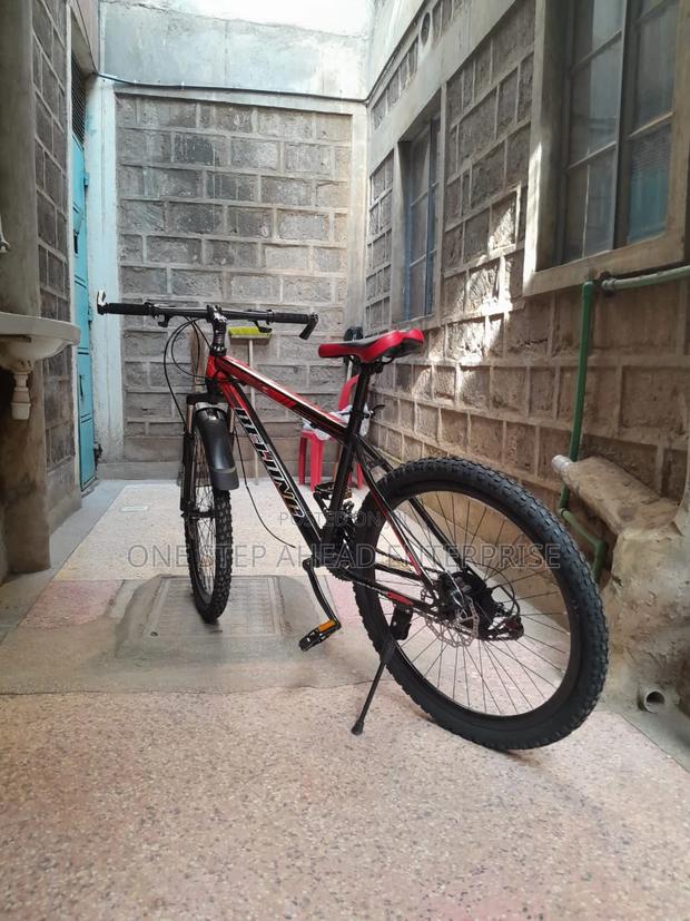 New Model Beijing Bike