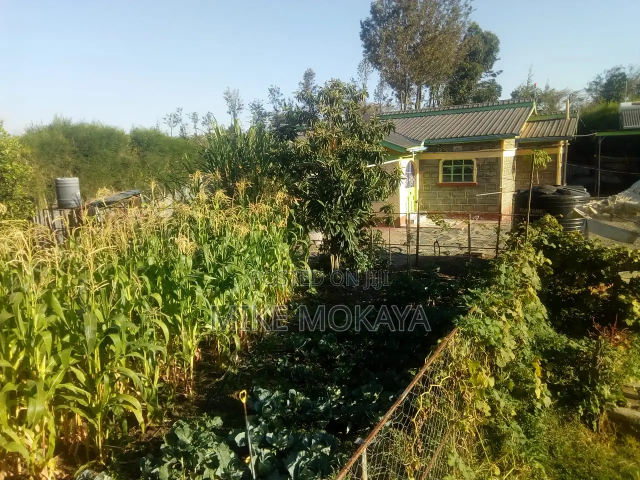 Furnished 2bdrm Bungalow in Burguret, Nanyuki for sale