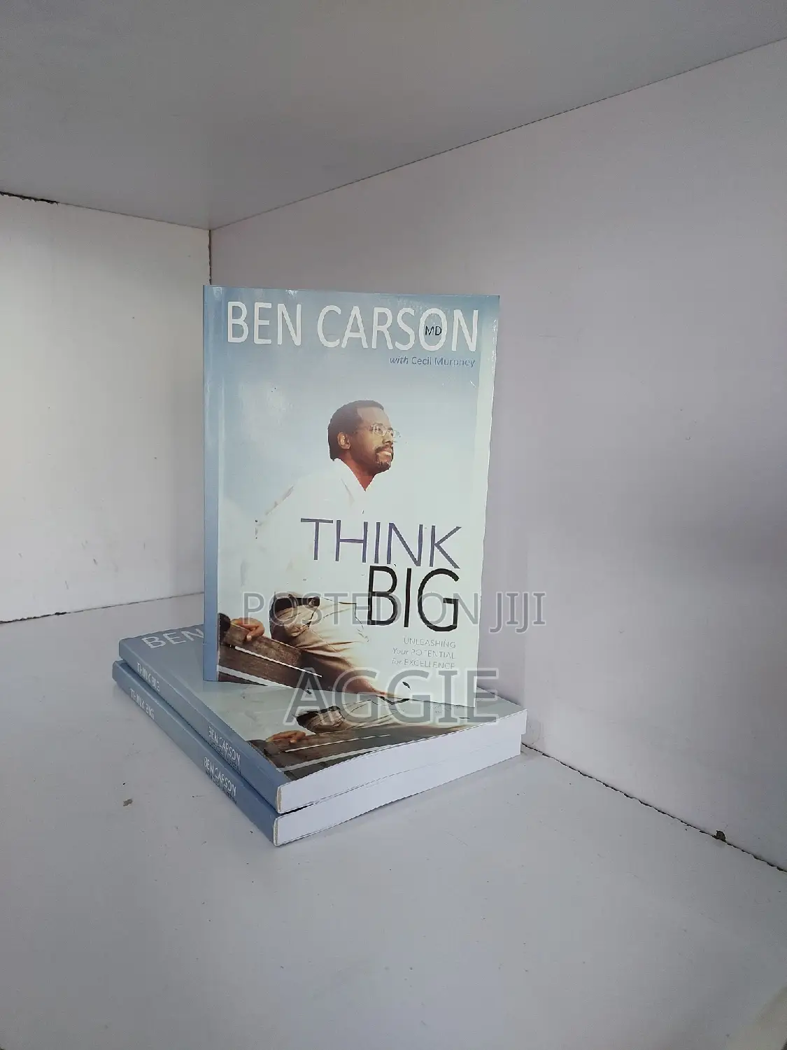 Surrounded by Idiots and Other Self Help Books