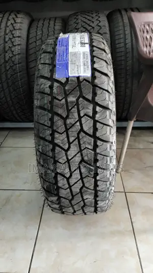 245/70r16 Goddard