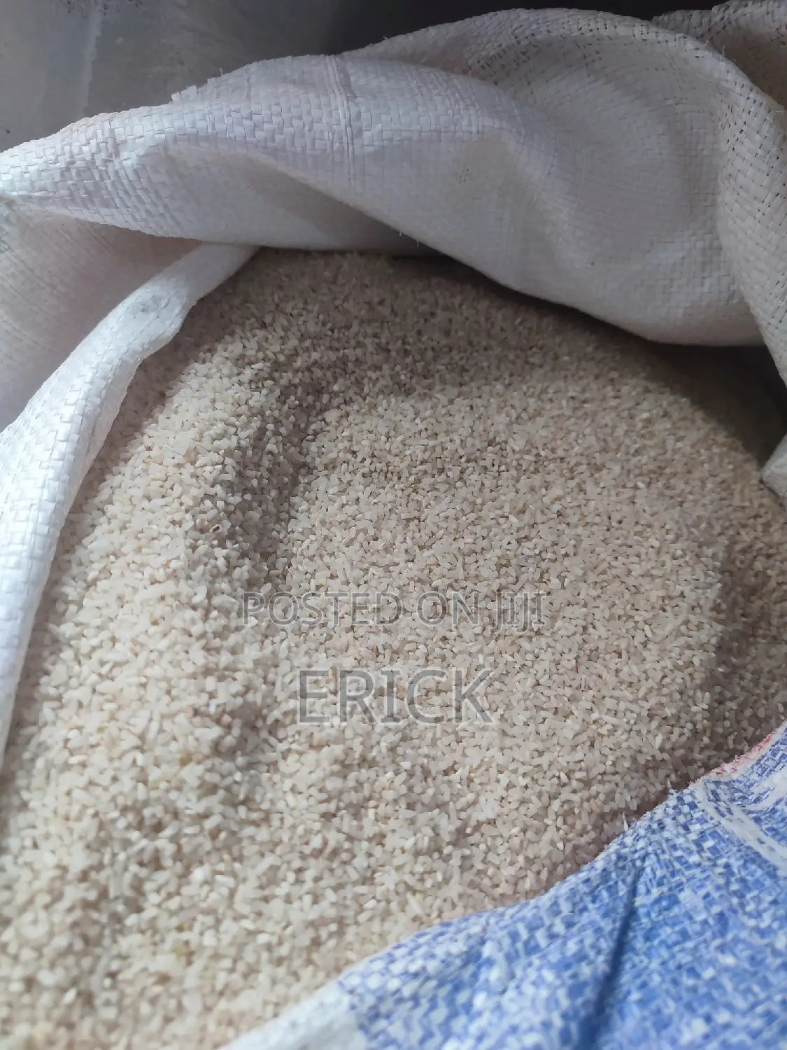 Broken Dog Rice