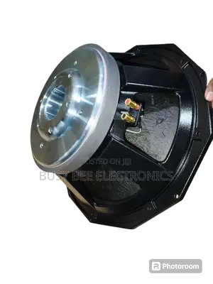 Pd18 Bass Speaker