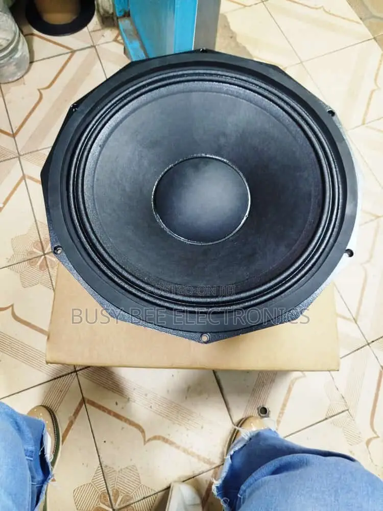 Pd18 Bass Speaker