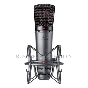 Sm 10takstar Studio Microphone - thumbnail 2
