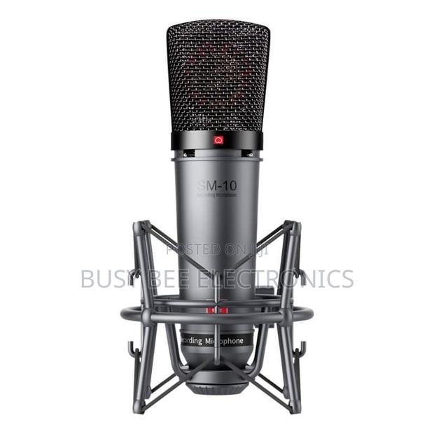 Sm 10takstar Studio Microphone - main view