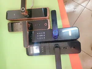 Digital Assurance Biometric Locks for Hotel Room Protection