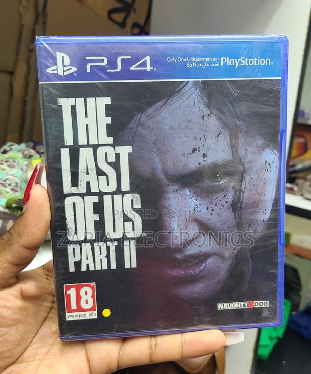 Ps4 Last of Us Part II - main view
