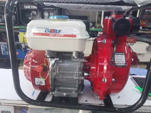 Original Golf Water Pump