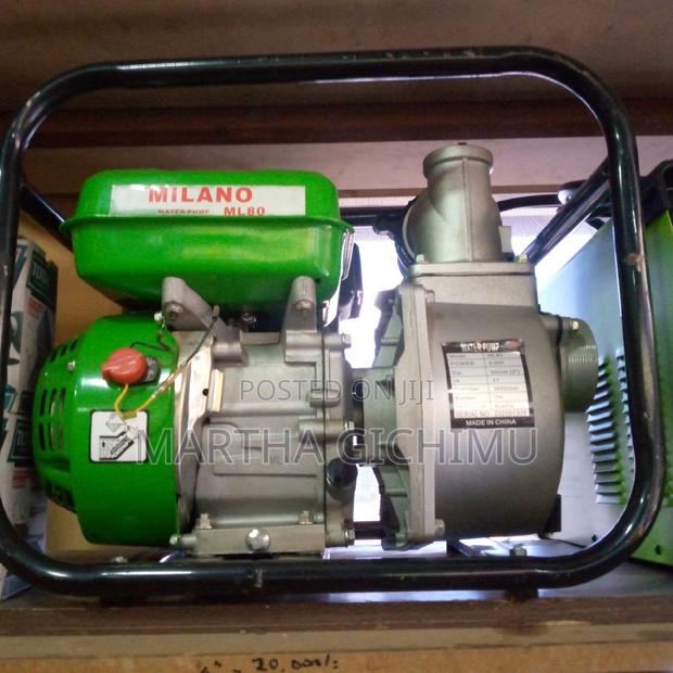Milano Water Pump 6.5hp