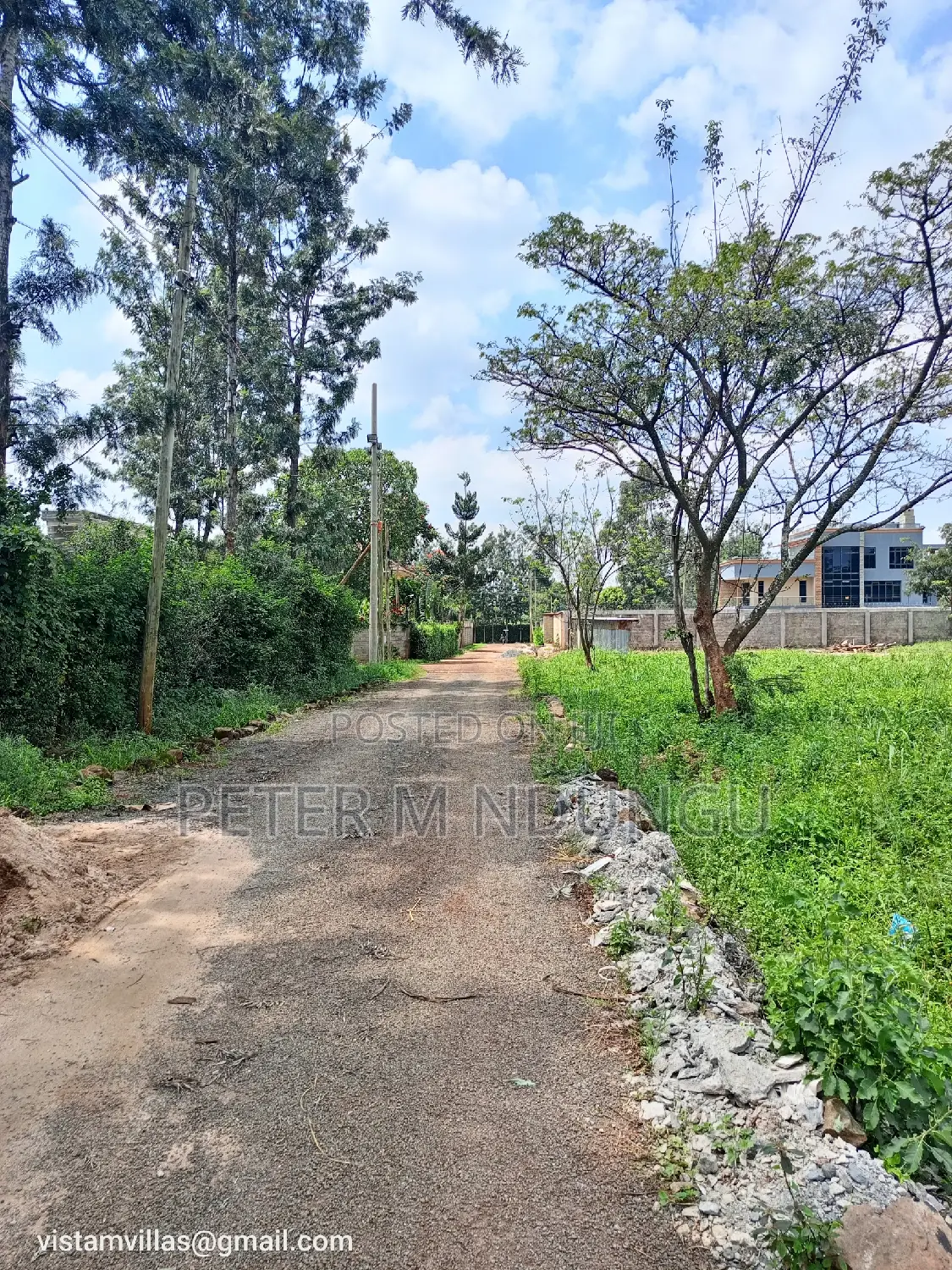 Golden Palm Gardens Prime Residential Quarter Plot